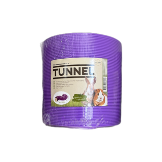Tunnel