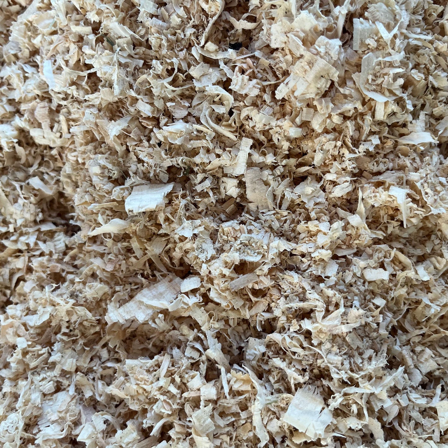 Premium Small Wood Shavings