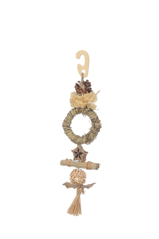 Ring n Pom Pom Interactive Bunny Toy