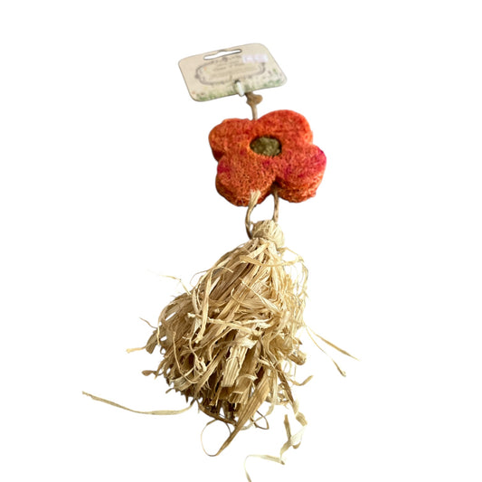 Loofa Flower