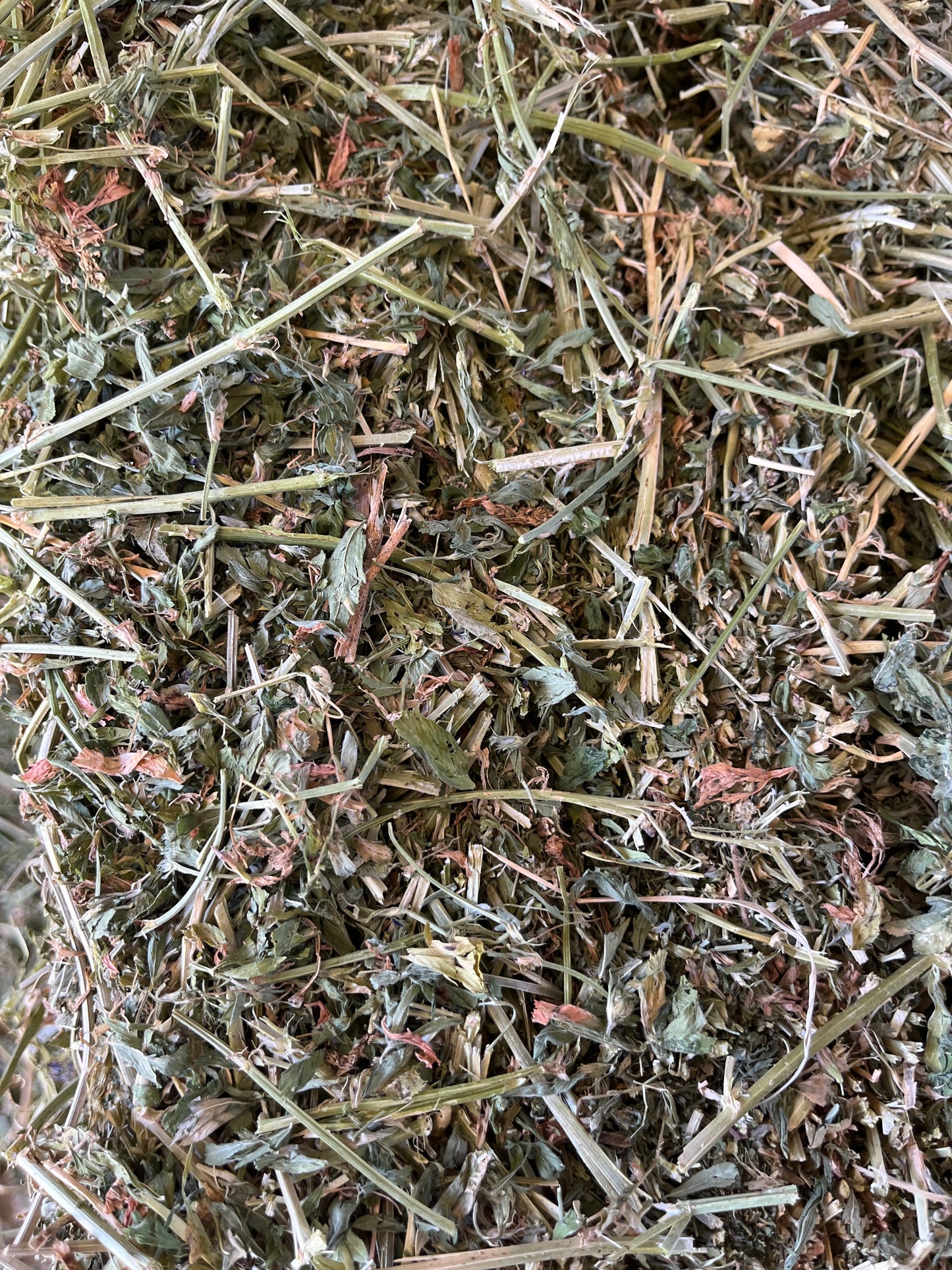 Premium Lucerne Hay 1.2kg - Fresh Australian Grown Rabbit Feed