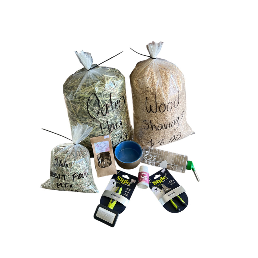Complete Rabbit Care Starter Bundle – Mares Mini Lop Bunnies