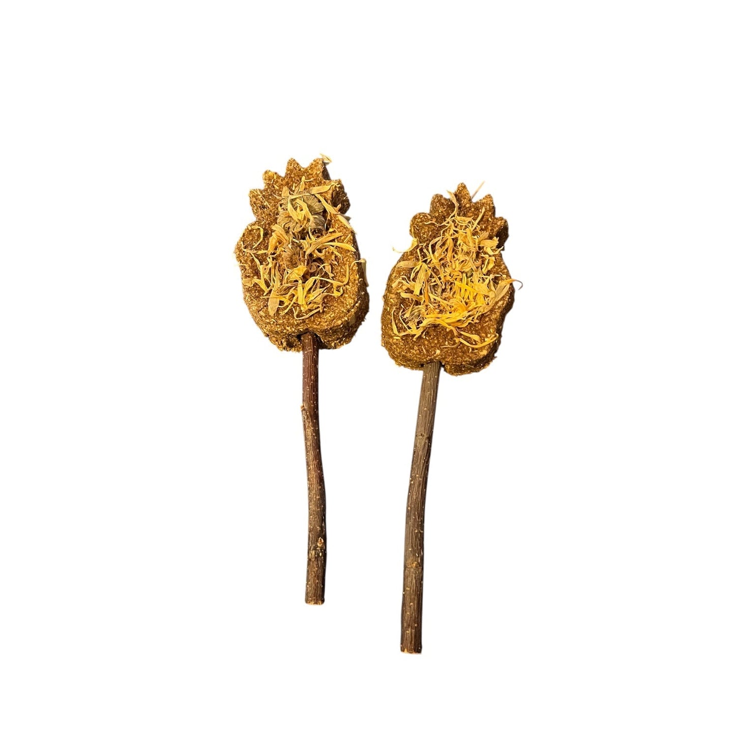 Pineapple Pops – 100% Natural Bunny Treats (2 Pack)